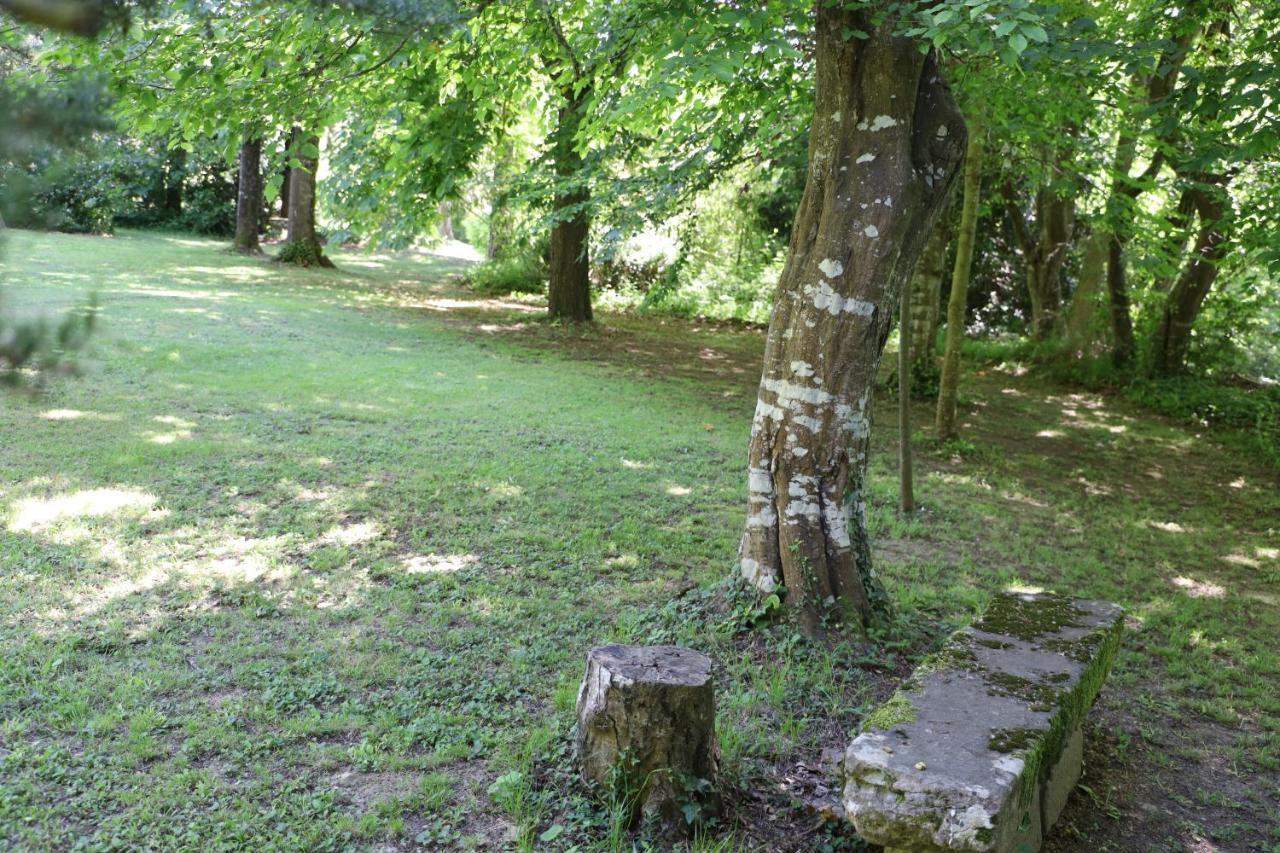 Domaine De Pouroutounat Mirepoix  Εξωτερικό φωτογραφία