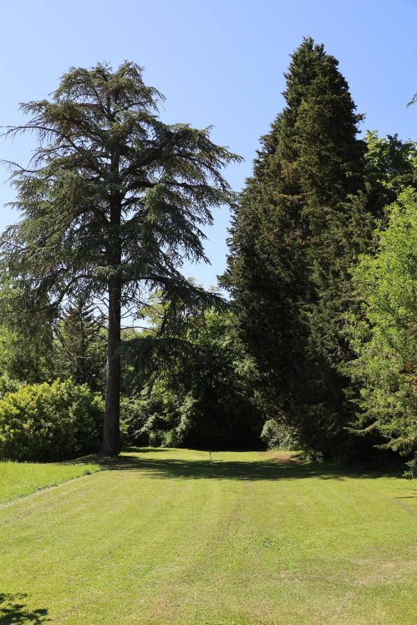 Domaine De Pouroutounat Mirepoix  Εξωτερικό φωτογραφία
